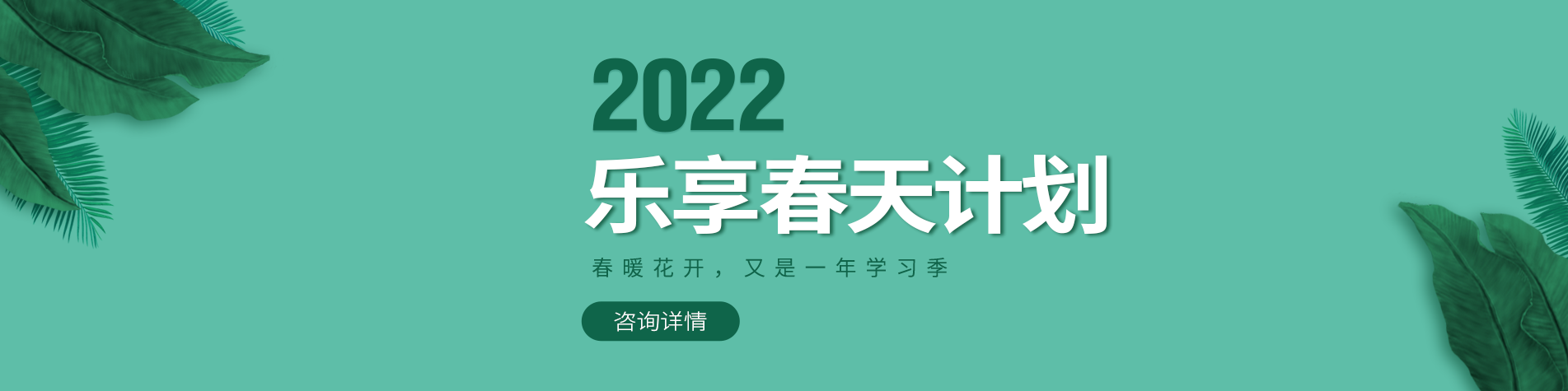 大鸡巴肏烂骚屄视频免费